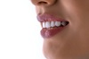 garant px100